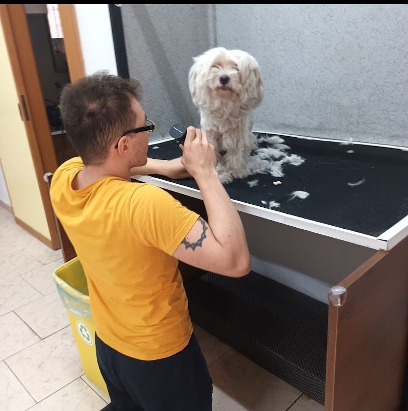 L'oasi dei cuccioli - Foto 4