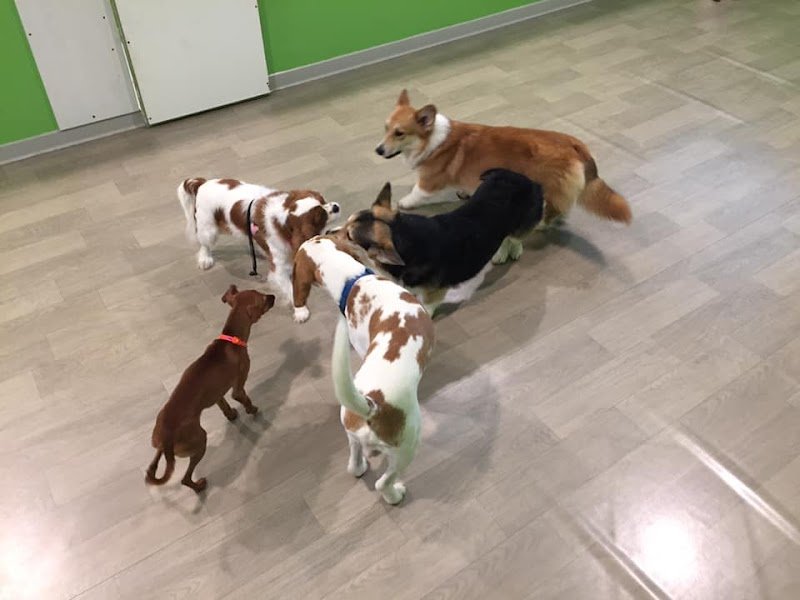 L'Oasi di Camillo & Milly - Foto 1