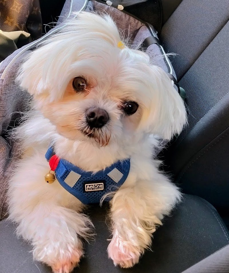 L'Oasi di Camillo & Milly - Foto 2