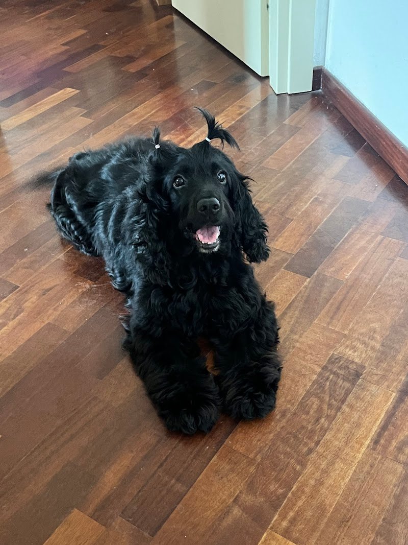 L'Oasi di Camillo & Milly - Foto 3