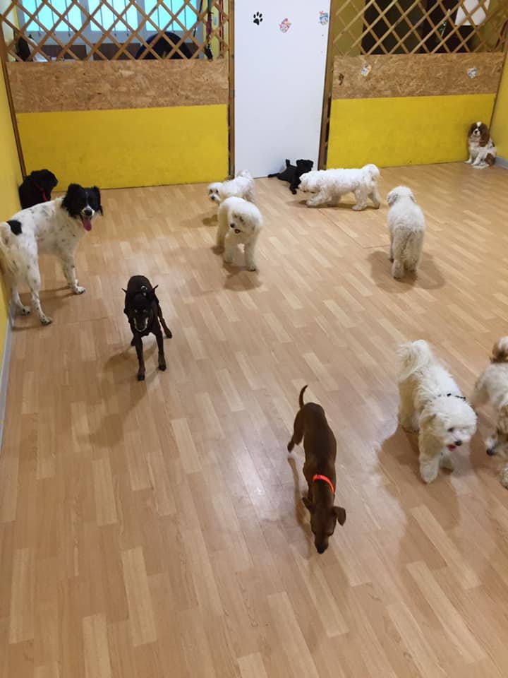 L'Oasi di Camillo & Milly - Foto 4