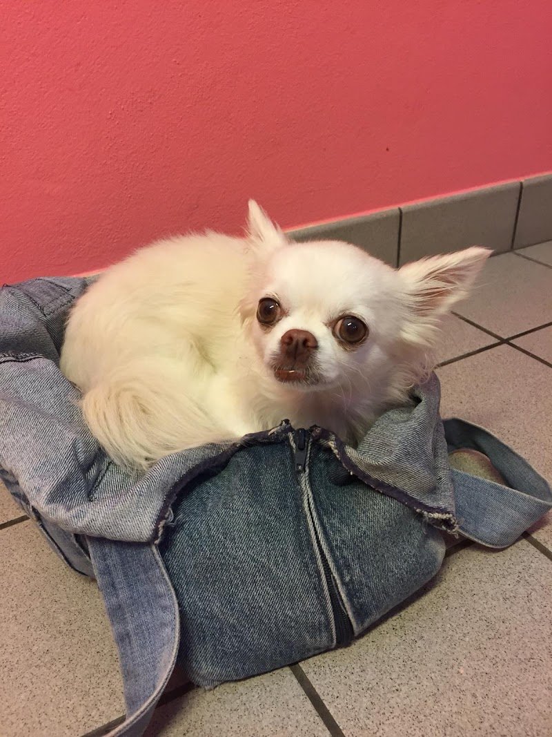 L'Oasi di Camillo & Milly - Foto 5