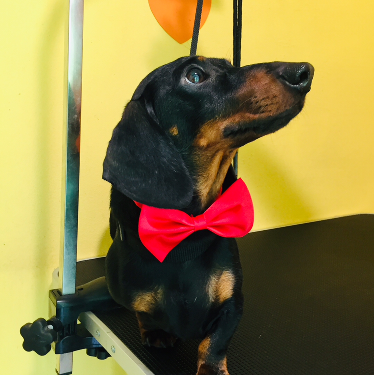 L'Oasi di Camillo & Milly - Foto 6