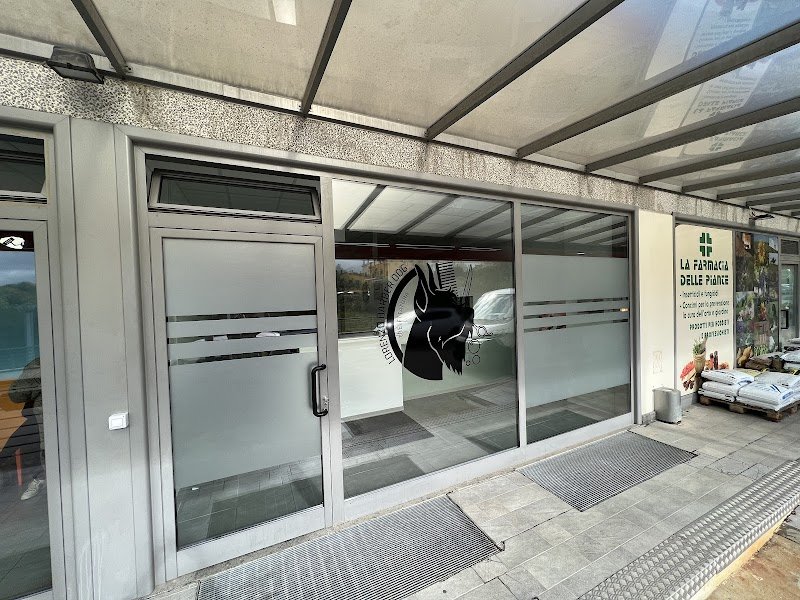 Lorenzo Barber Dog - Foto 1