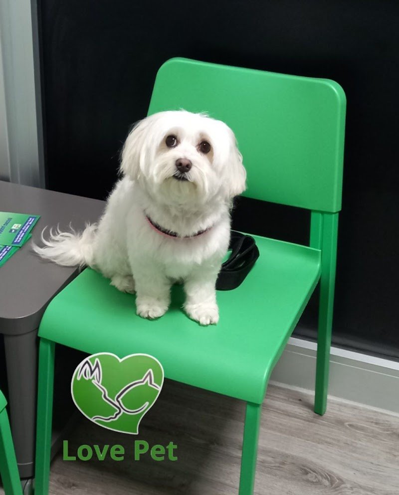 Love Pet Beauty e Spa - Foto 5