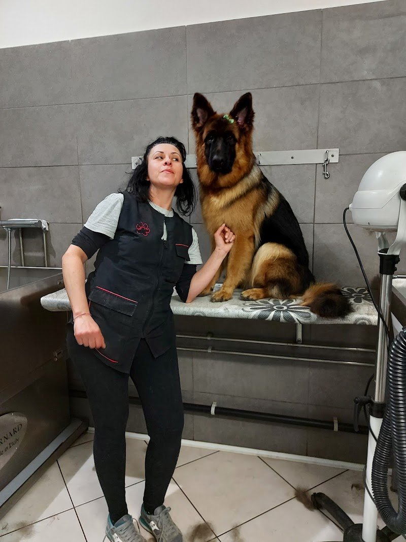 Love Pet Toelettatura e Spa - Foto 4