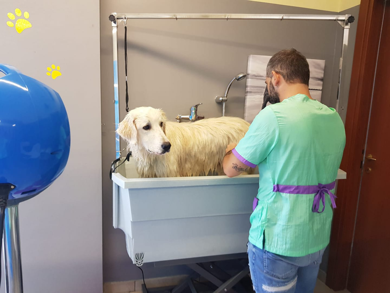 Lovely Pet Toelettatura per Cani e Gatti - Foto 1