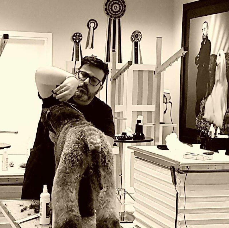 lovepet sala Toelettatura - Foto 3