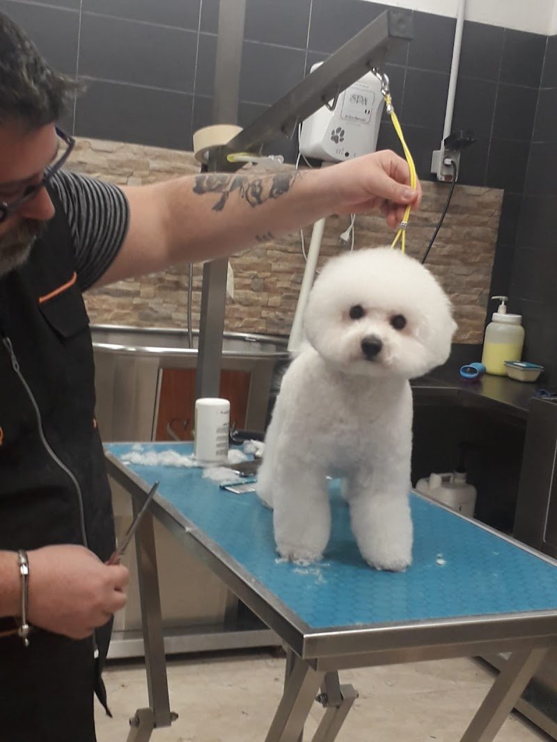 lovepet sala Toelettatura - Foto 5