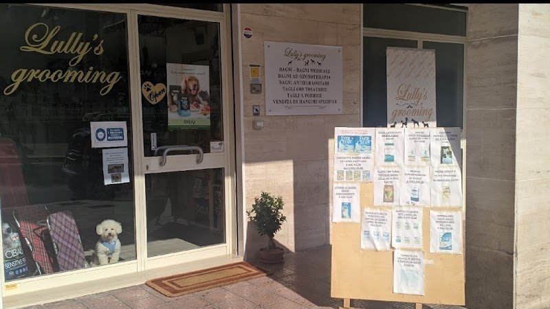Lully's grooming - Foto 1