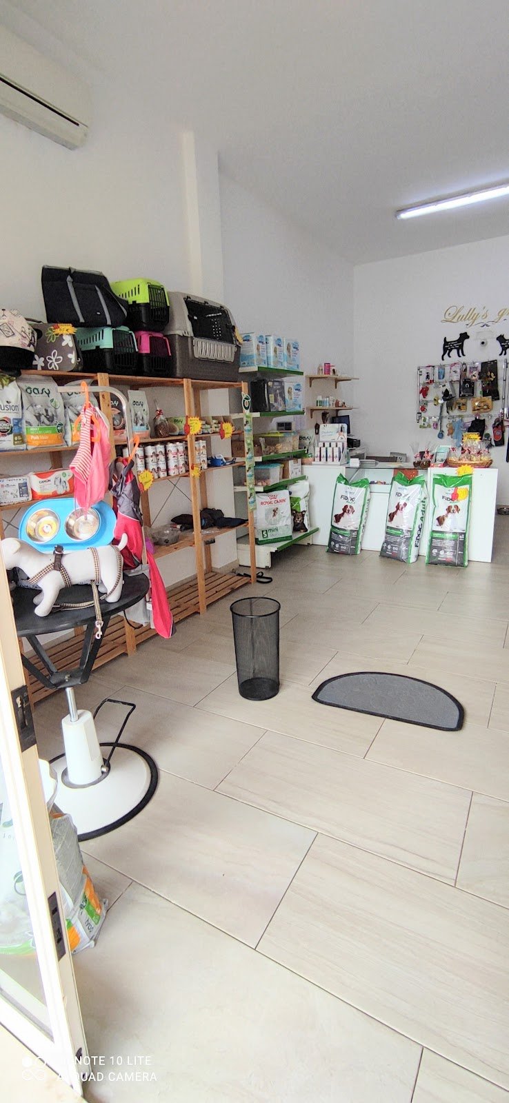 Lully's grooming - Foto 2