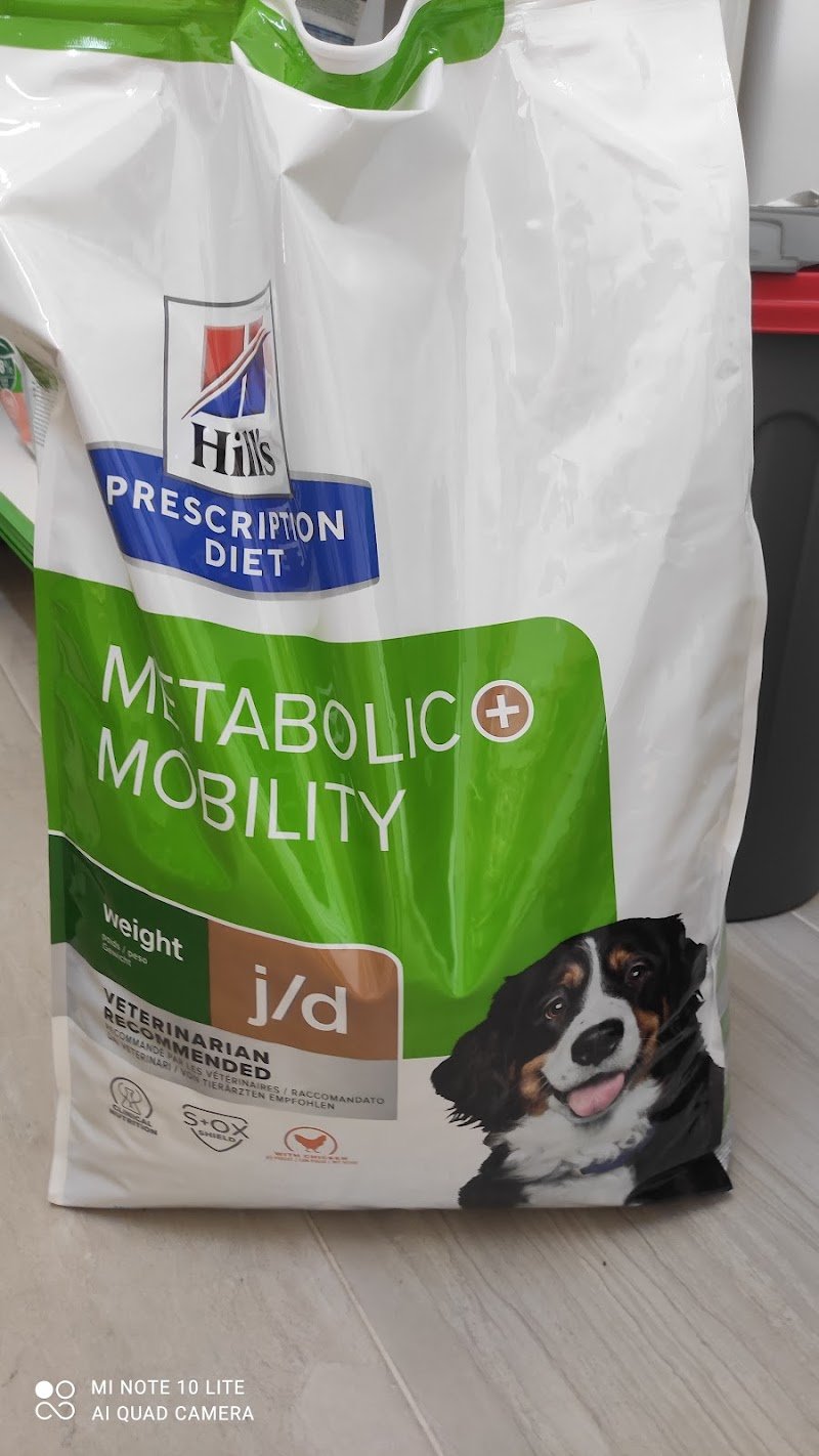 Lully's grooming - Foto 6