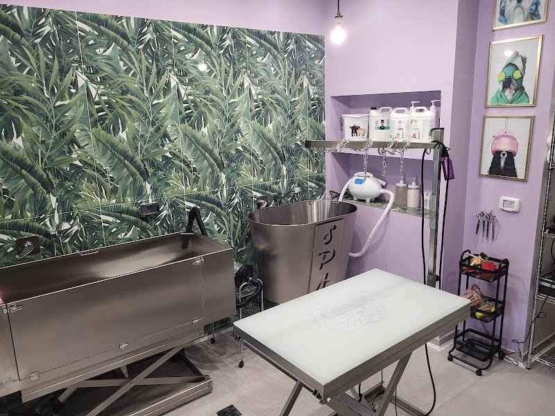 Lulù Bolle&Coccole - Foto 3