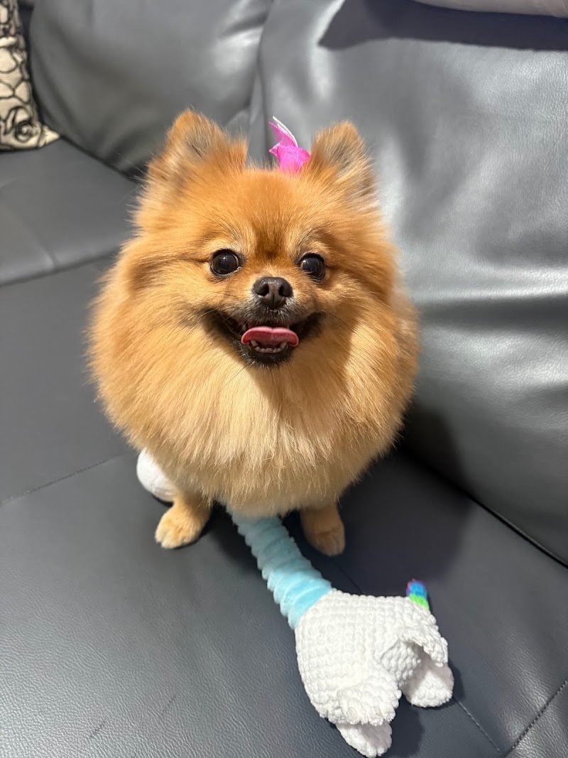 Lulù Bolle&Coccole - Foto 5