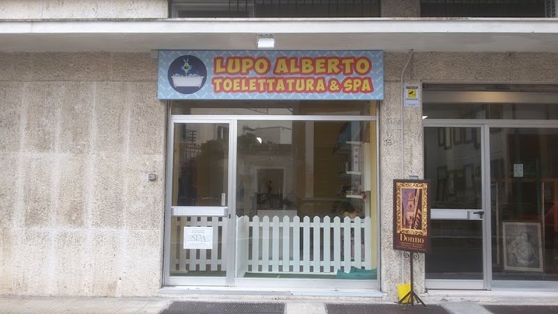 LUPO ALBERTO TOELETTATURA & SPA - Foto 2