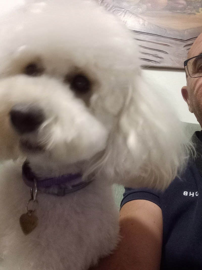 LUPO ALBERTO TOELETTATURA & SPA - Foto 1