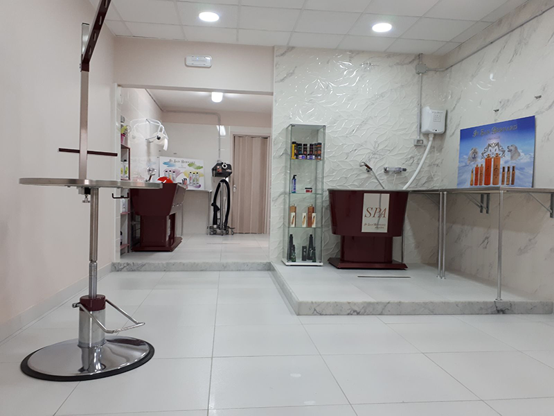 Luxury Dog - Toelettatura - Foto 3