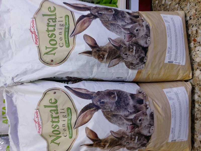 Madagascar 2 - Foto 3