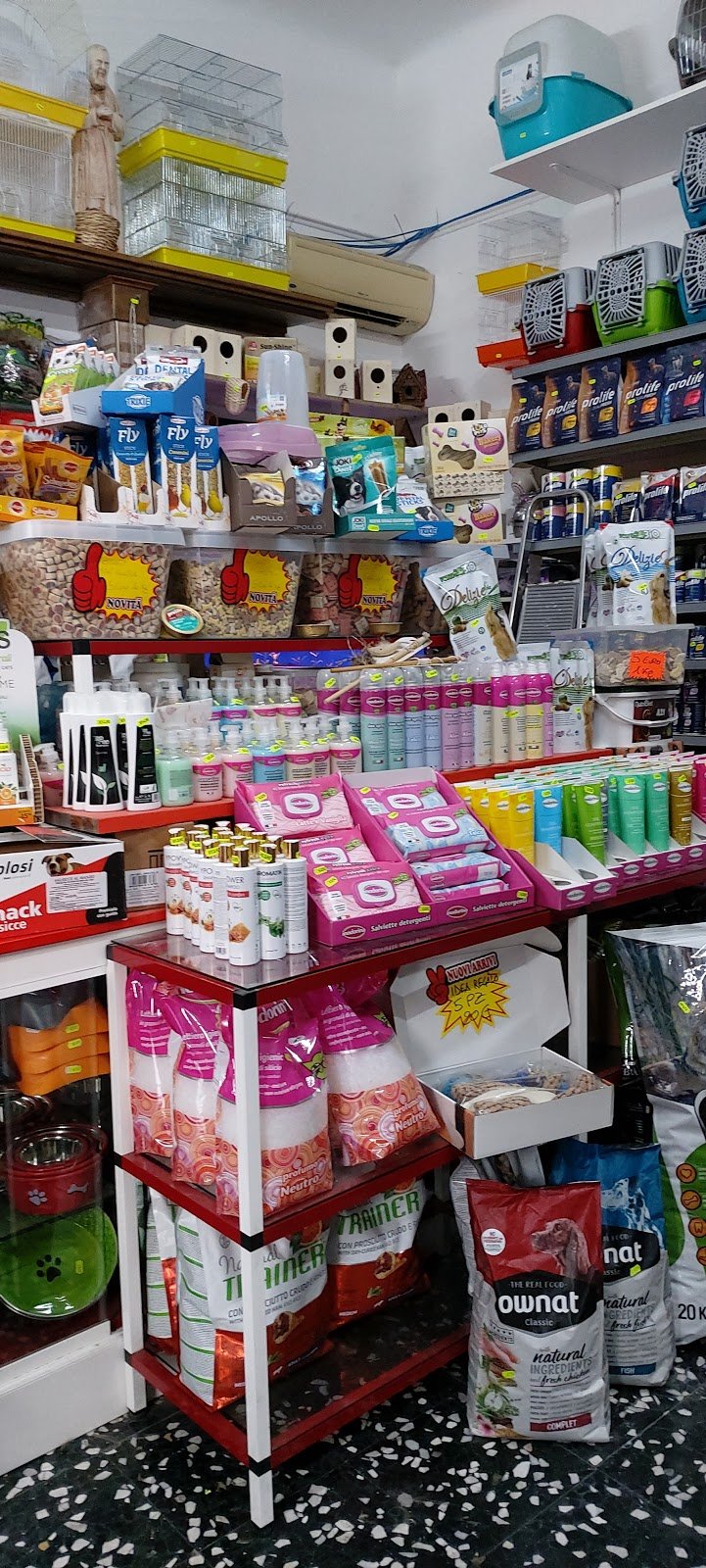 Madagascar 2 - Foto 4