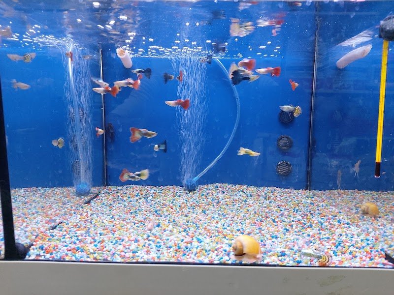 Madagascar 2 - Foto 5