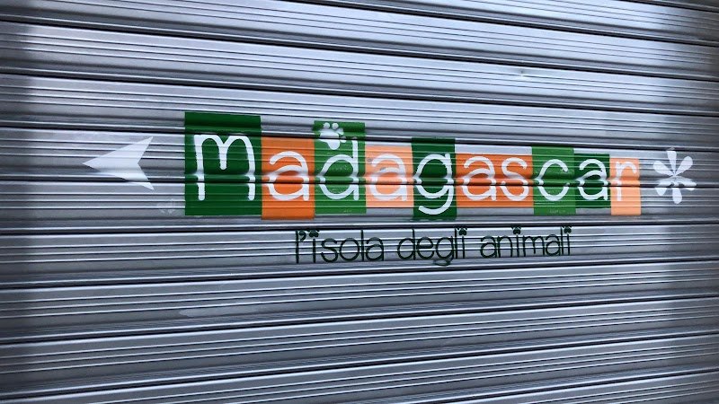 Madagascar - Foto 6