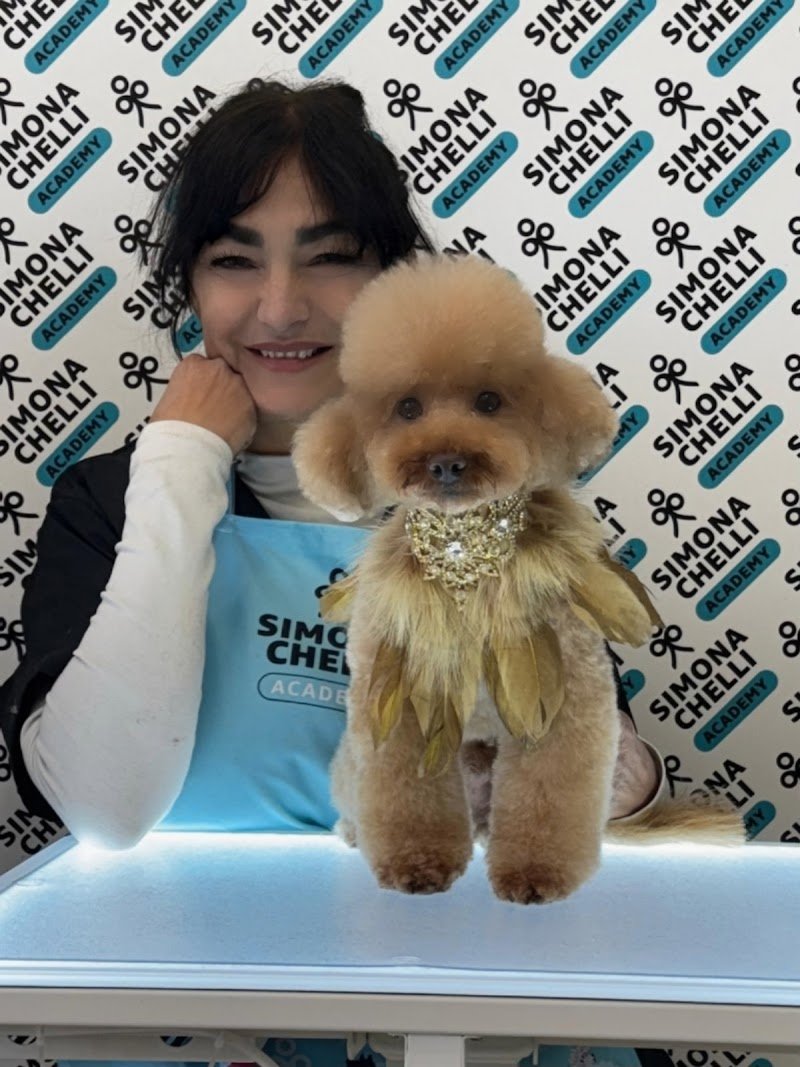 Madame Chanel - Foto 1