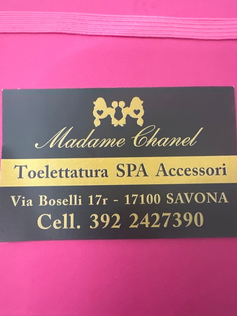 Madame Chanel Toelettatura - Foto 1