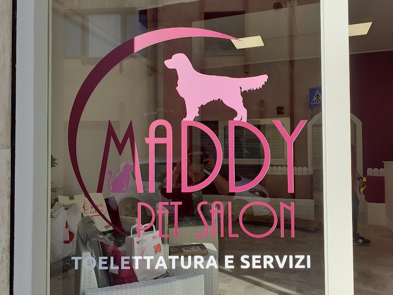 Maddy Pet Salon - Foto 1
