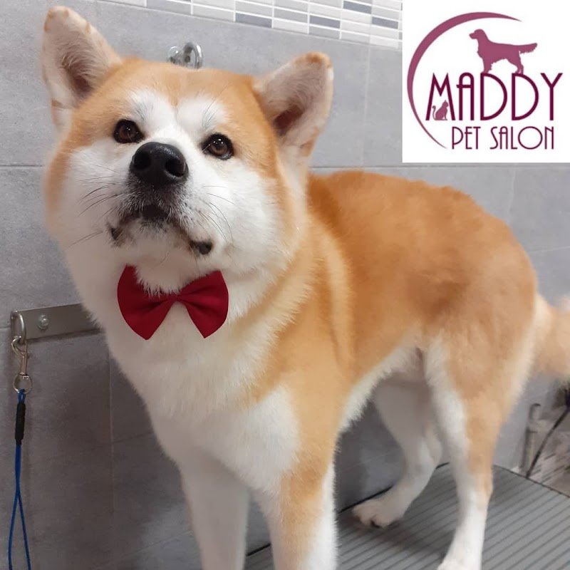 Maddy Pet Salon - Foto 5