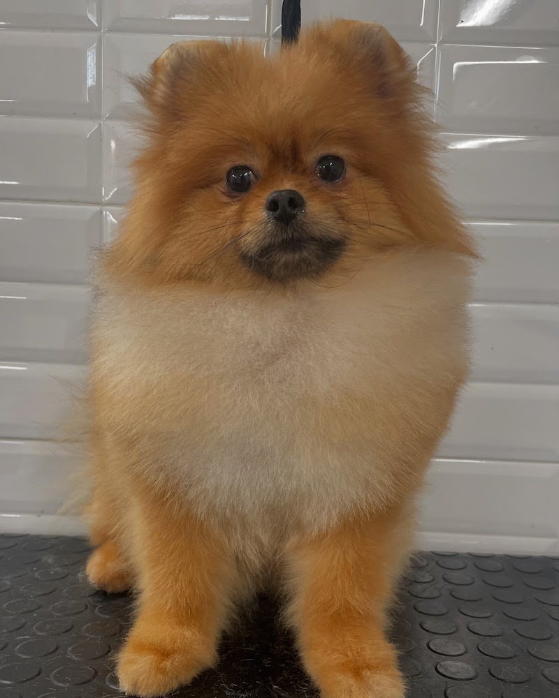 Made in Love - Foto 2