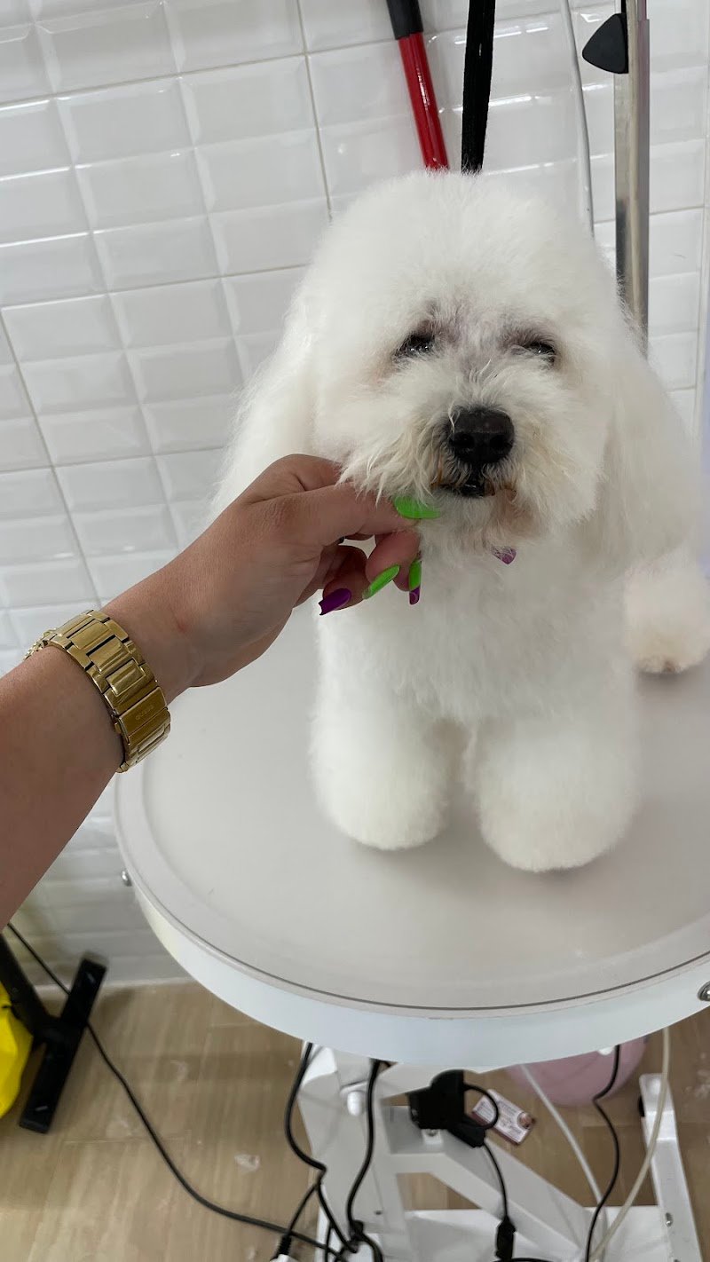 Made in Love - Foto 4