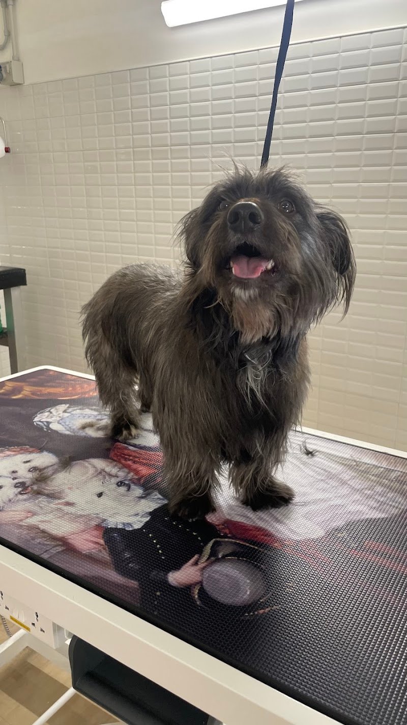 Made in Love - Foto 5