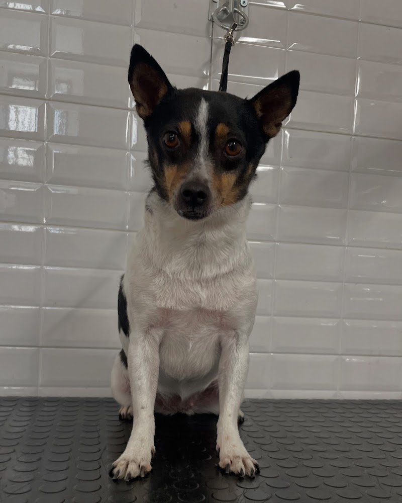 Made in Love - Foto 6