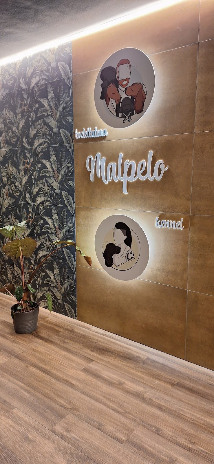 Malpelo toelettatura - Foto 1