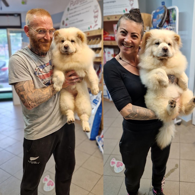 Malpelo toelettatura - Foto 6