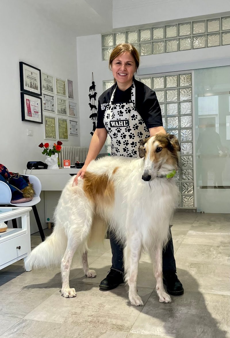 Manti Brillanti Toelettatura - Foto 5