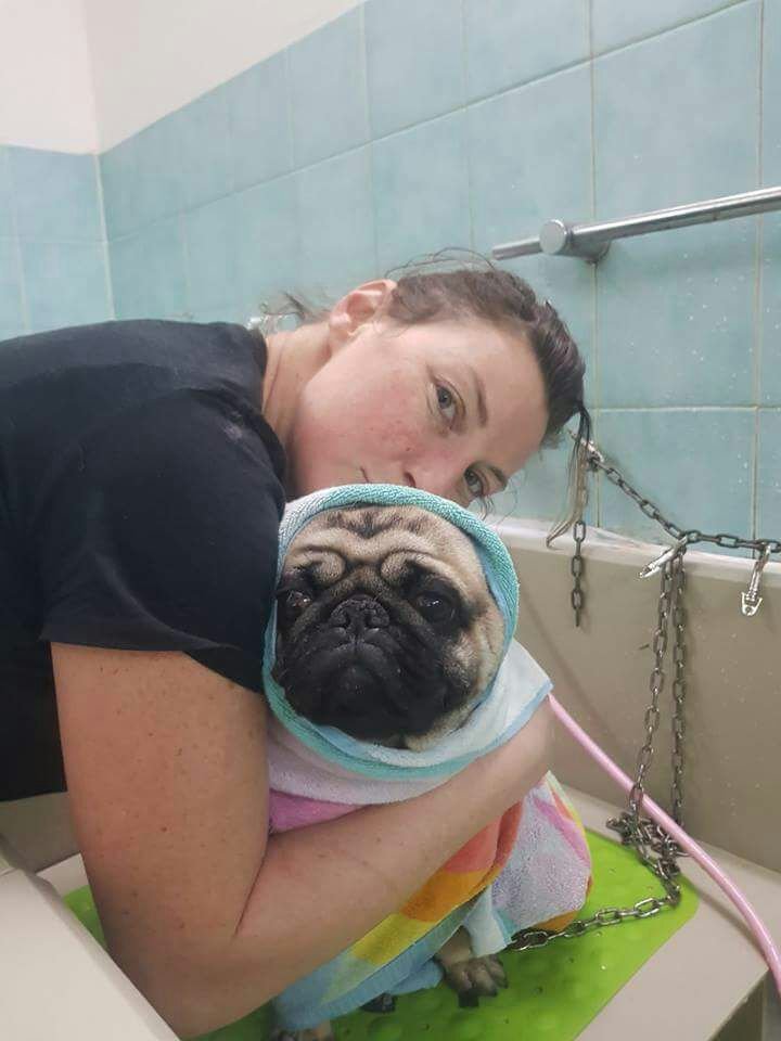 Marcellina Toelettatura - Foto 1