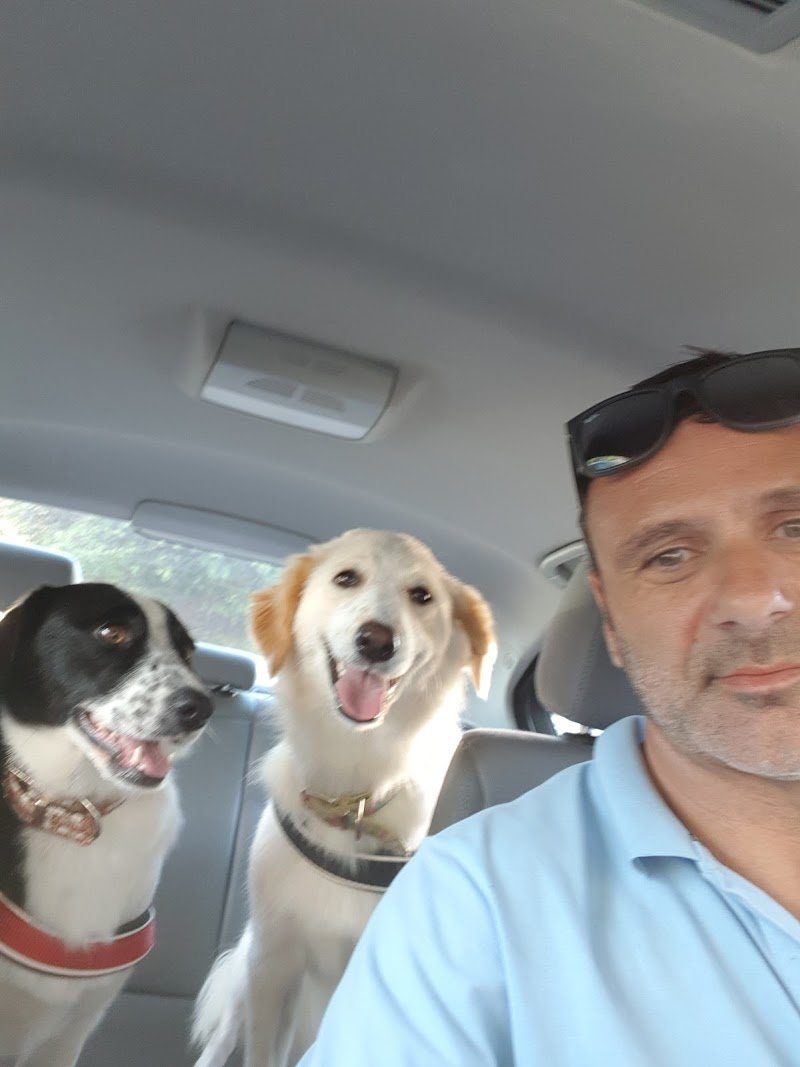 Marcellina Toelettatura - Foto 3