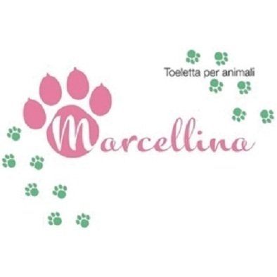 Marcellina Toelettatura - Foto 6