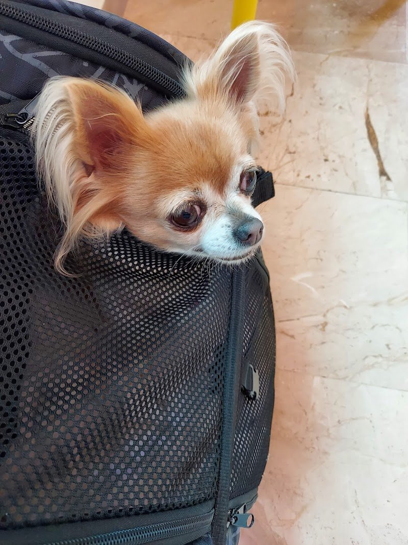 Margot Toelettatura & Spa - Foto 3