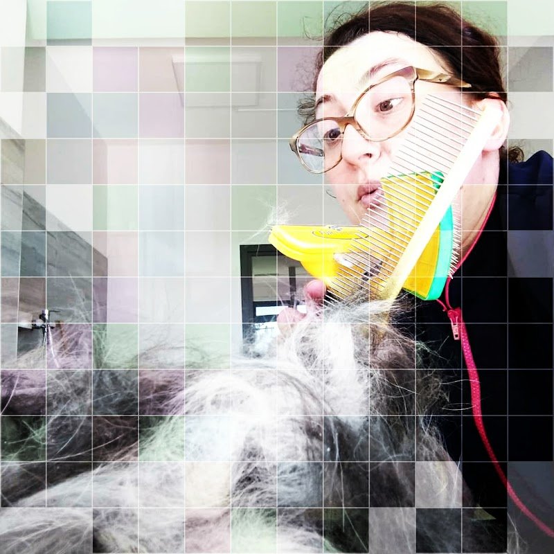 Margot Toelettatura & Spa - Foto 4