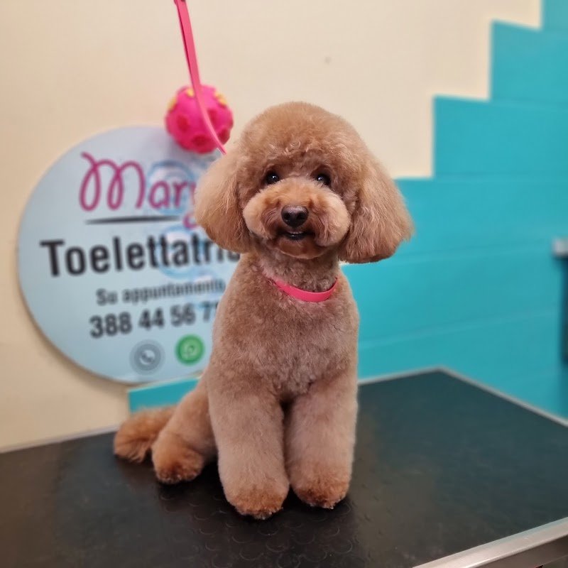 Mary Toelettatrice - Foto 5