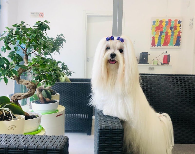 Mat & Nick S.r.l. Societa' Agricola - Foto 1