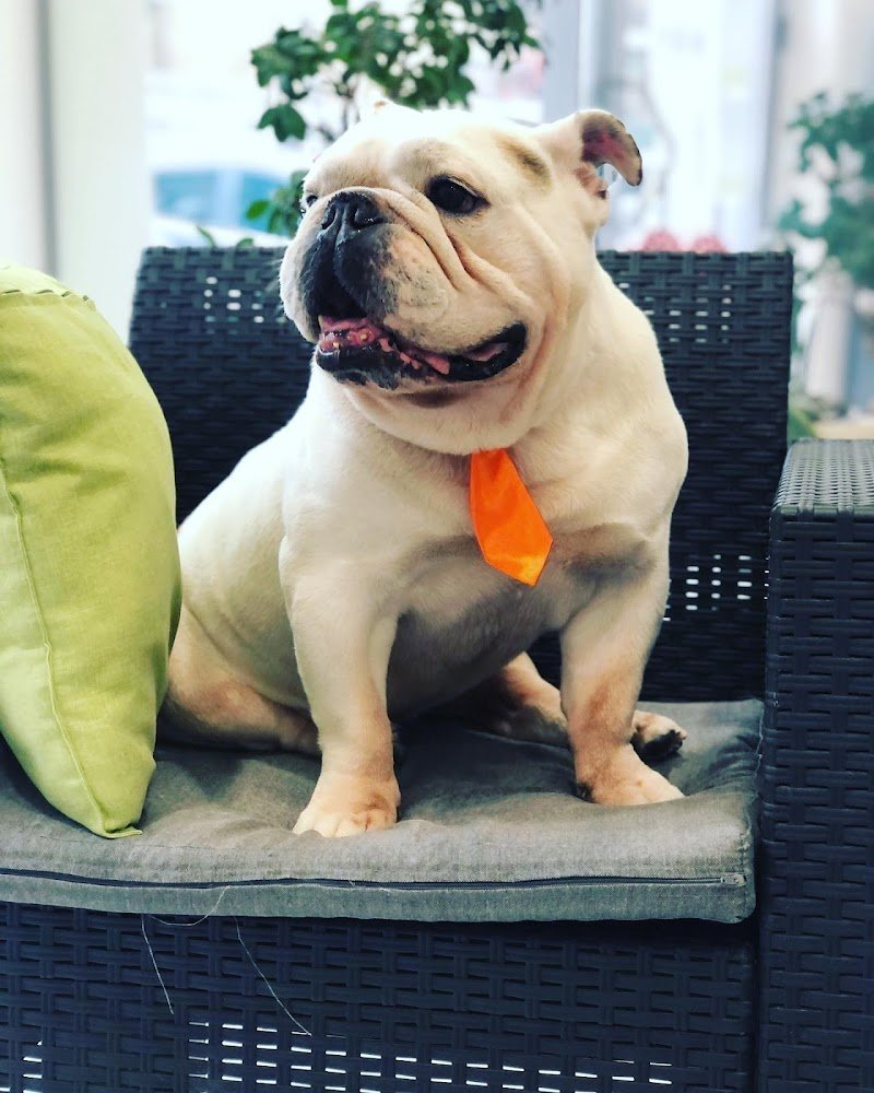 Mat & Nick S.r.l. Societa' Agricola - Foto 2