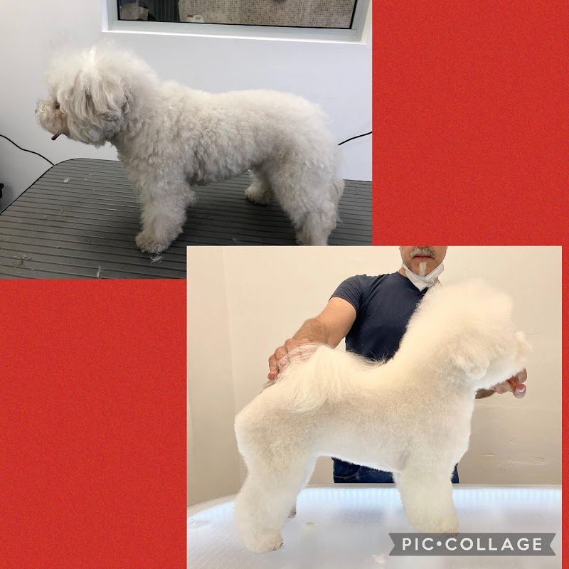 Mat & Nick S.r.l. Societa' Agricola - Foto 3