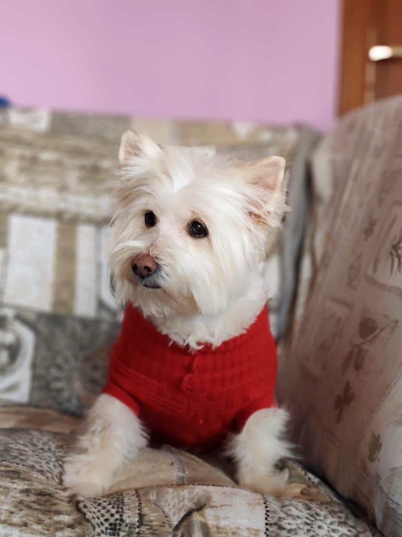 Mat & Nick S.r.l. Societa' Agricola - Foto 5