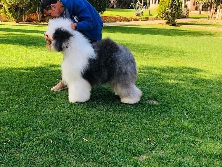 Mat & Nick S.r.l. Societa' Agricola - Foto 6