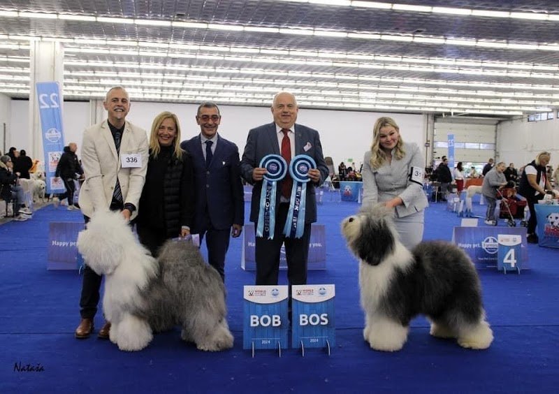 Mat&Nik International Toelettatura per Animali - Foto 1