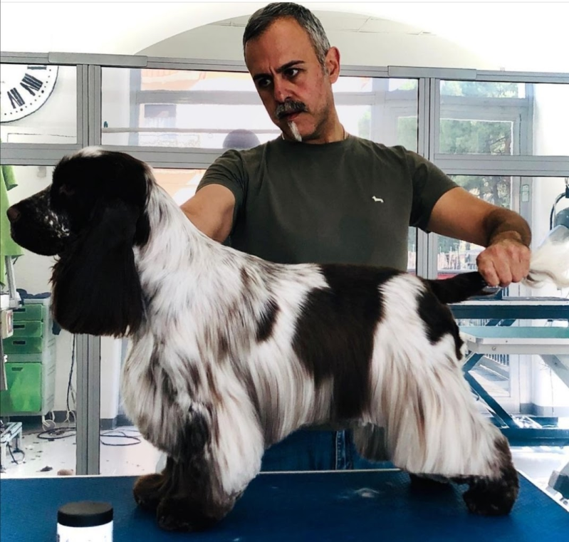 Mat&Nik International Toelettatura per Animali - Foto 6