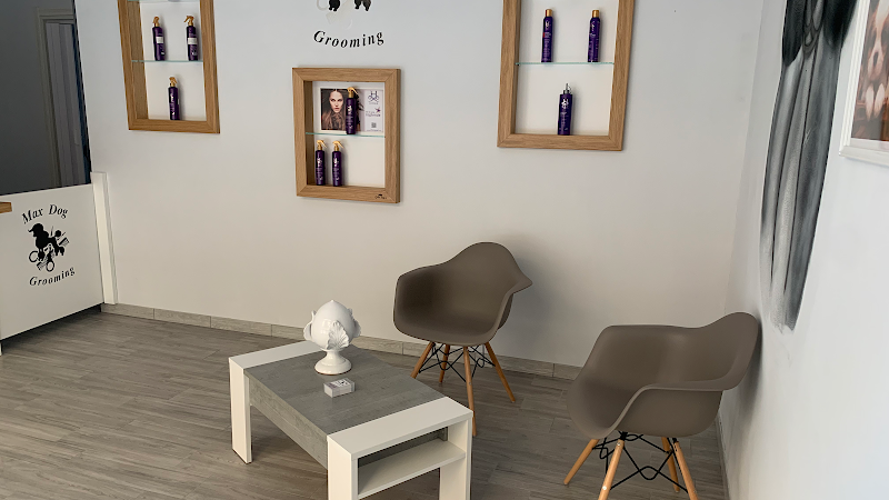 Max Dog Grooming - Foto 1